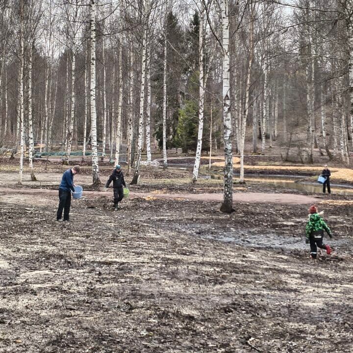 Lärplats Prostmyran, sådd av äng